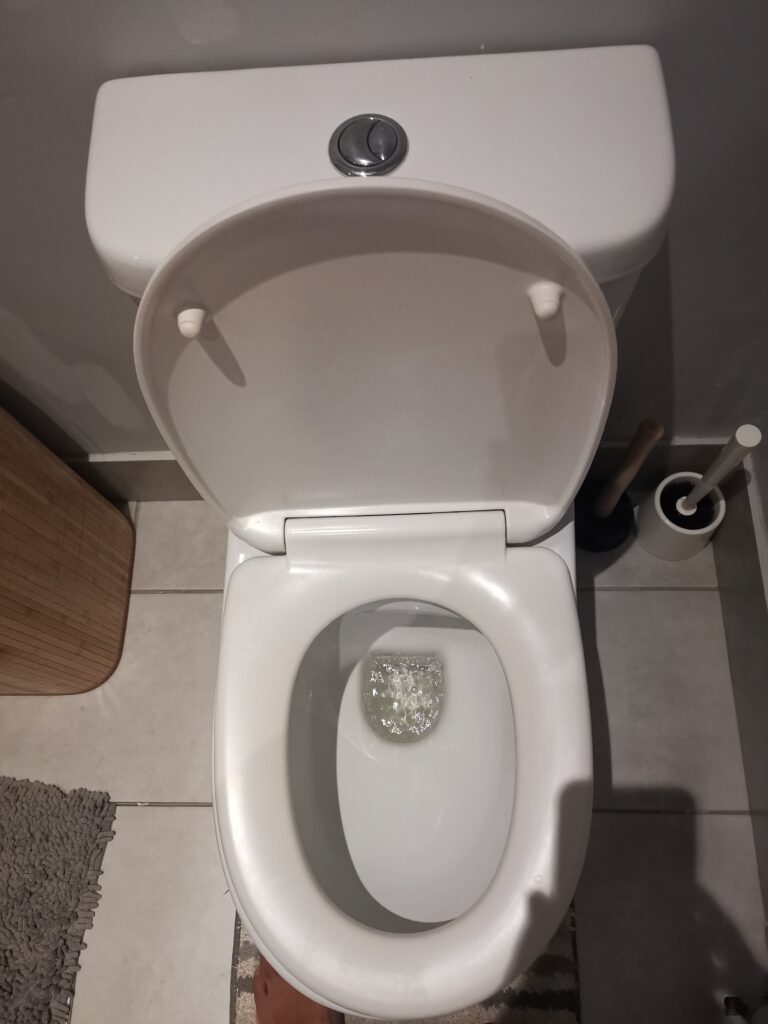 how to unblock a toilet