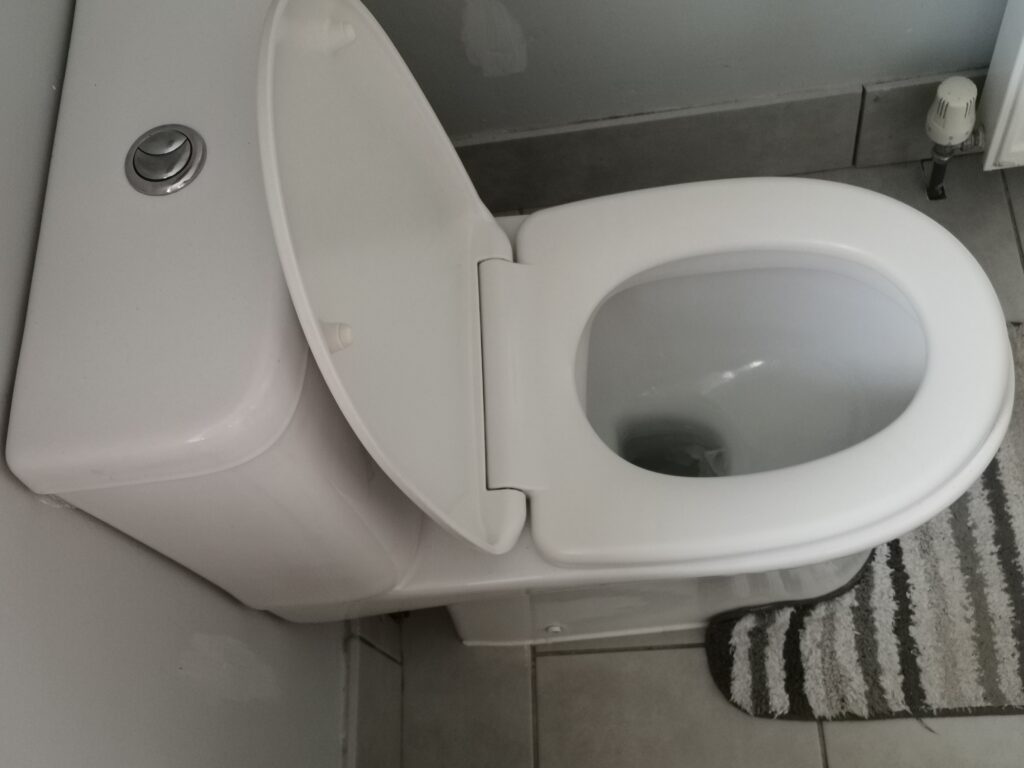 How to remove and install a new toilet in easy steps guide