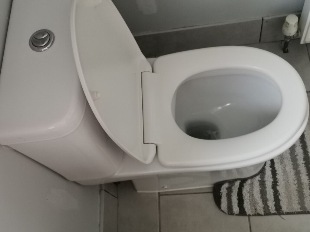 types of toilet